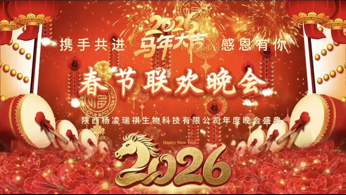 同心聚力共奋进 欢歌逐梦启新篇--瑞祺公司2026年年会圆满收官