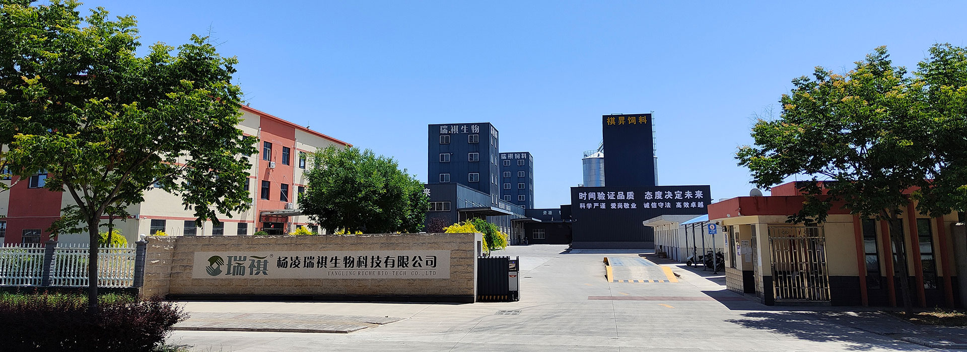 图片三